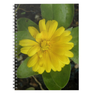 Helles Gelbes Marigment-Notebook Notizblock