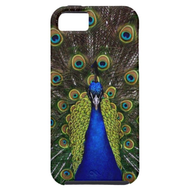 Helles girly hübsches Pfauvogel-Naturtier Case-Mate iPhone Hülle (Rückseite)