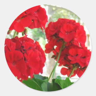 Helles Red Geraniums Stickers Great Garden Geschen
