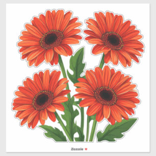 Helles rotes Gerbera-Daisy-Blumenstrauß Aufkleber