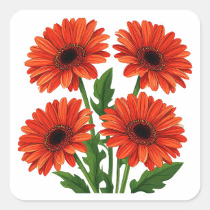 Helles rotes Gerbera-Daisy-Blumenstrauß Quadratischer Aufkleber