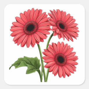 Helles rotes Gerbera-Gänseblümchen-Strauß Quadratischer Aufkleber