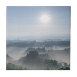 Helles Sonnenlicht in den Bambusbäumen Taiwan Fliese