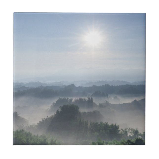 Helles Sonnenlicht in den Bambusbäumen | Taiwan Fliese (Vorderseite)