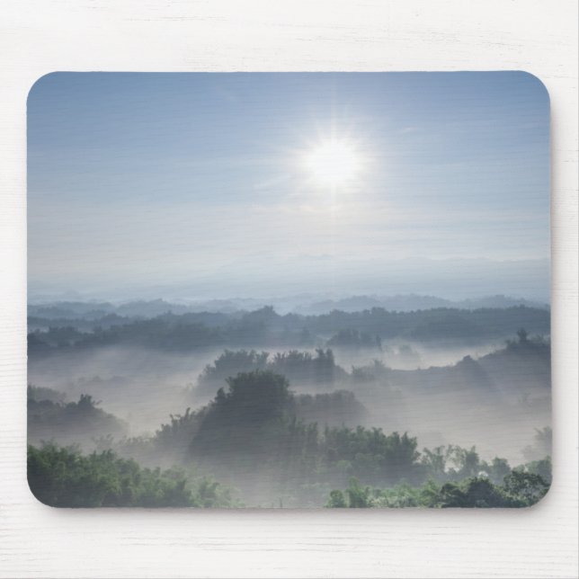 Helles Sonnenlicht in den Bambusbäumen | Taiwan Mousepad (Vorne)