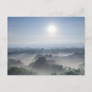 Helles Sonnenlicht in den Bambusbäumen   Taiwan Postkarte