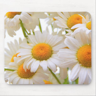 Helles Summer Daisies Blume Foto Mousepad