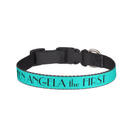 Helles türkisfarbenes Hundehalsband Personalisiert Haustierhalsband