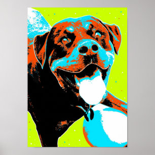 Helles und Fun Rottweiler Portrait Poster