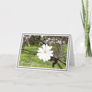 Helles White Star Magnolia gegen Foliage Karte