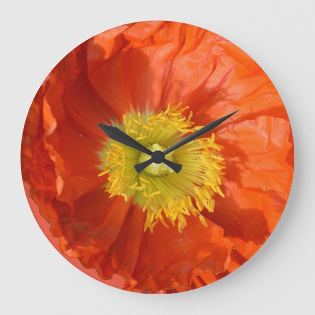Hellfarbige Orange Mandarine Mohnblume Blume Große Wanduhr (Vorderseite)