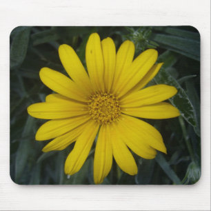 hellgelbe Blume Mousepad