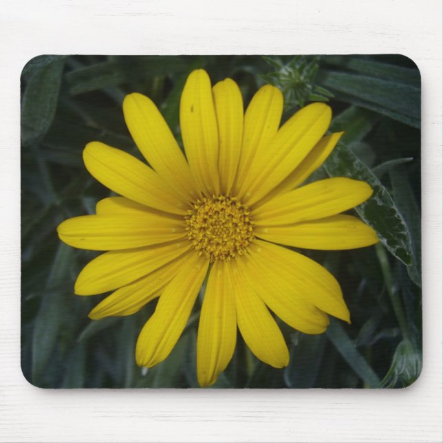 hellgelbe Blume Mousepad (Vorne)