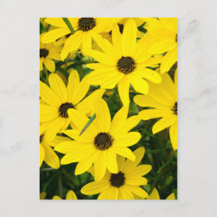 Hellgelbe Blumen Postkarte