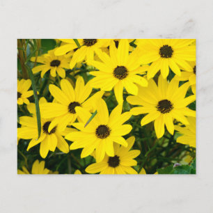 Hellgelbe Blumen Postkarte