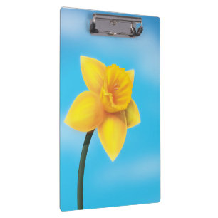 Hellgelbe Daffodin Klemmbrett