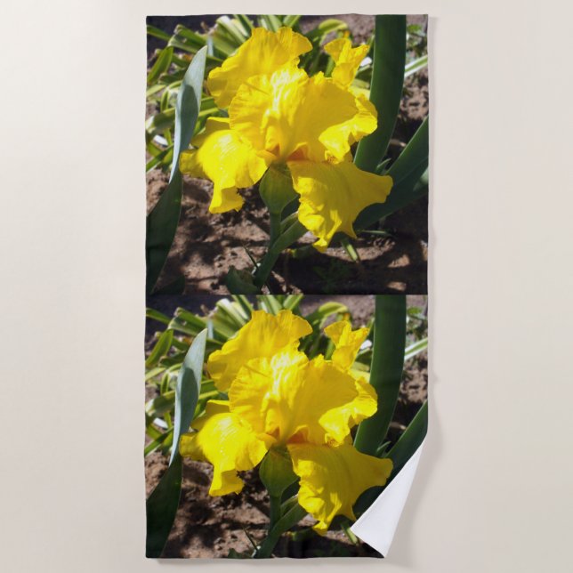 Hellgelbe Iris-Blume, Badetuch (Vorderseite)
