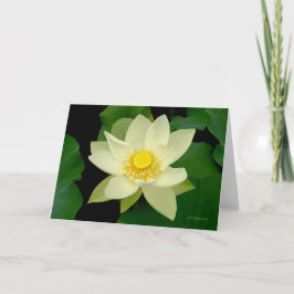 Hellgelbe schwimmende Wasserlilie Karte