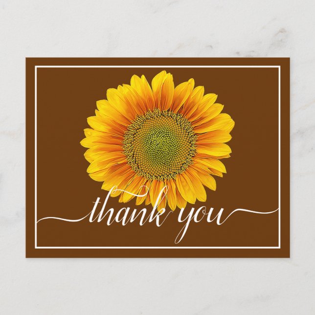 Hellgelbe Sonnenblume Brauner Hintergrund Danke Postkarte (Vorderseite)