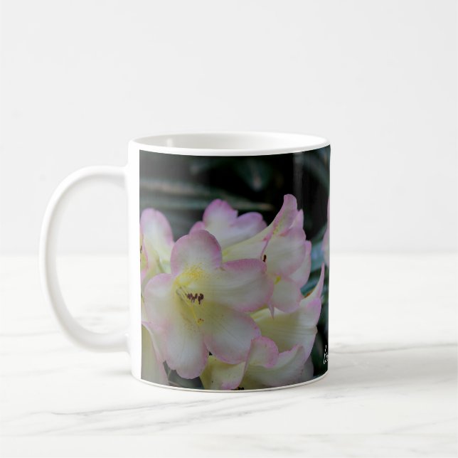 Hellgelbe und rosa Rhododendron Blume Tasse (Links)