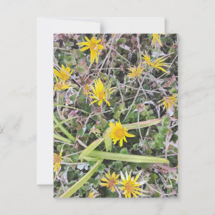 Hellgelbe Wildblumen auf der natürlichen Wiese Postkarte