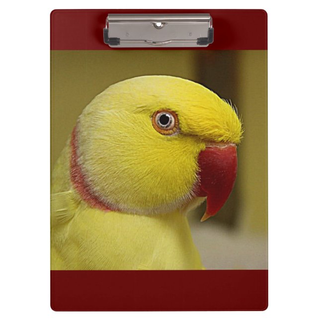 Hellgelber Lutino Indischer Ringackparrot Klemmbrett (Vorderseite)