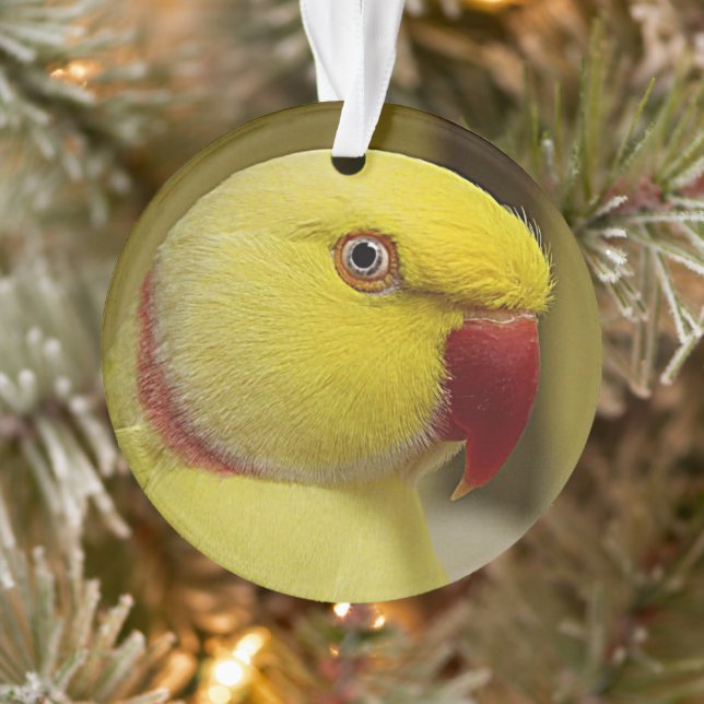 Hellgelber Lutino Indischer Ringackparrot Ornament (Baum)