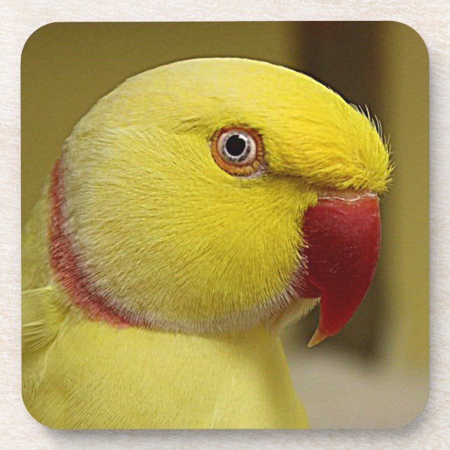 Hellgelbes Lutino Indianerringerparrot Getränkeuntersetzer (Vorderseite)