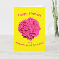 Hellgelbes Rosa blühender Gärtner Geburtstag