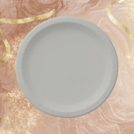 Hellgraue Farbe Pappteller