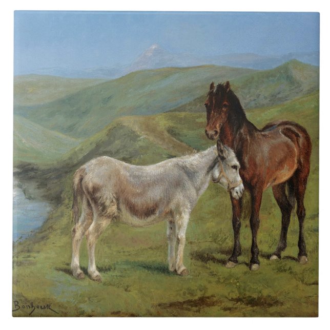 Hellgraues Pferd auf einem Feld (Pferdezucht) Fliese (Vorderseite)