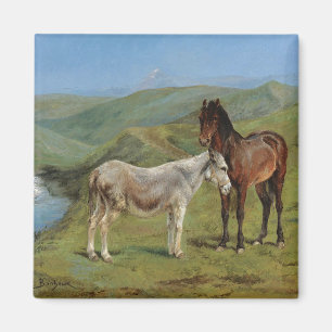 Hellgraues Pferd auf einem Feld (Pferdezucht) Magnet