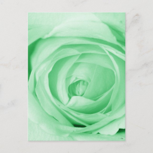 hellgrün postkarte (Vorderseite)