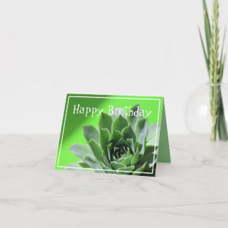 Hellgrüne Sempervivum sukkulente Pflanze Karte