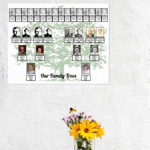 Hellgrüner Blattbaum Zeichnend zwei Familienbäume Poster