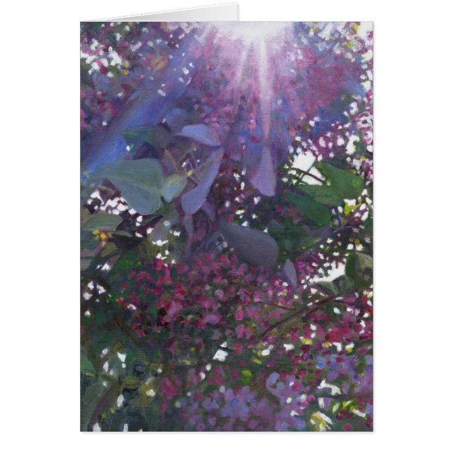 Helligkeit 2014 (Vorne)