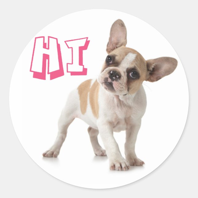 Helllo Hi French Bulldog Welpe Hund Sticker / Sieg (Vorderseite)