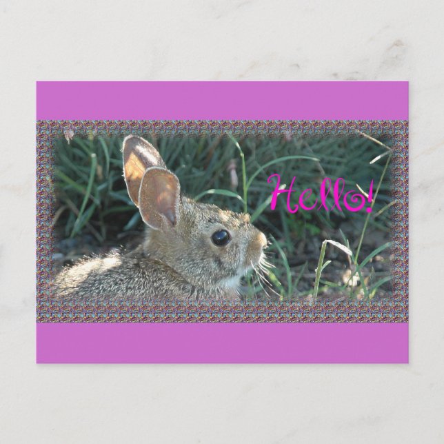 Hello Bunny Postkarte (Vorderseite)