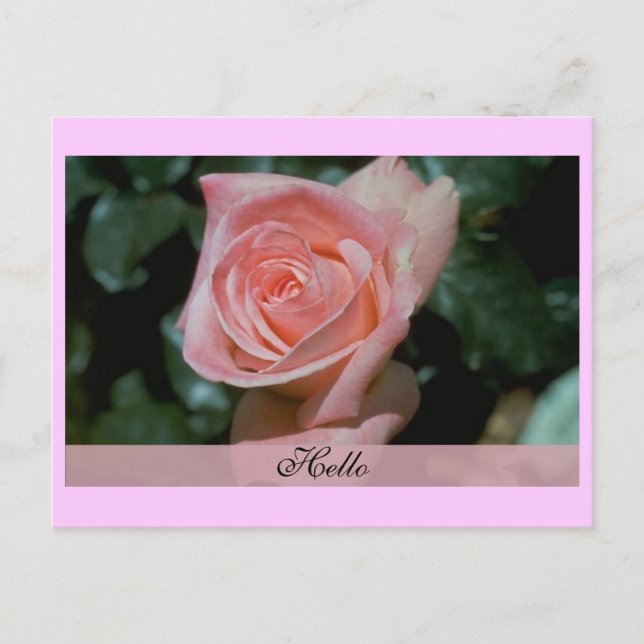 Hello Card Postkarte (Vorderseite)