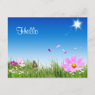 Hello Daisy Butterfly Flower Garden Post Card Postkarte