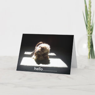 HELLO, DENKEN SIE AN FREUNDE ODER FAMILIEN KARTE