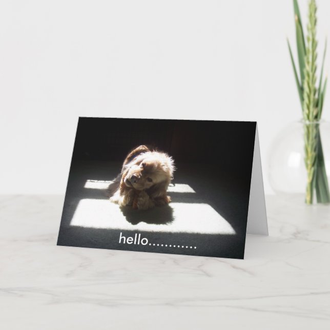 HELLO, DENKEN SIE AN FREUNDE ODER FAMILIEN KARTE (Vorderseite)