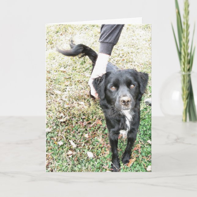 Hello Doggy Card Karte (Vorderseite)