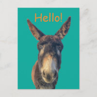 Hello Donkey Farm Animal Postcard