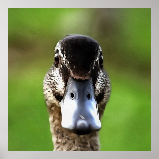 Hello Ducky Quirky Duck Portrait Poster (Vorne)