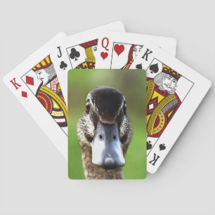 Hello Ducky Quirky Duck Portrait Spielkarten