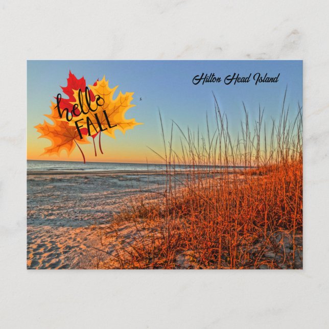 Hello Fall Hilton Head Island Beach South Carolina Postkarte (Vorderseite)