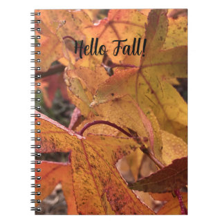 "Hello Fall!" Notebook Notizblock