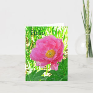 "HELLO" FLORAL/PINK PEONY/NOTECARD /BLANK INNEN KARTE