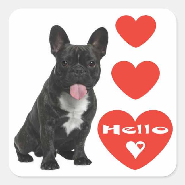 Hello French Bulldog Puppy Docker / Siegel Quadratischer Aufkleber (Vorderseite)